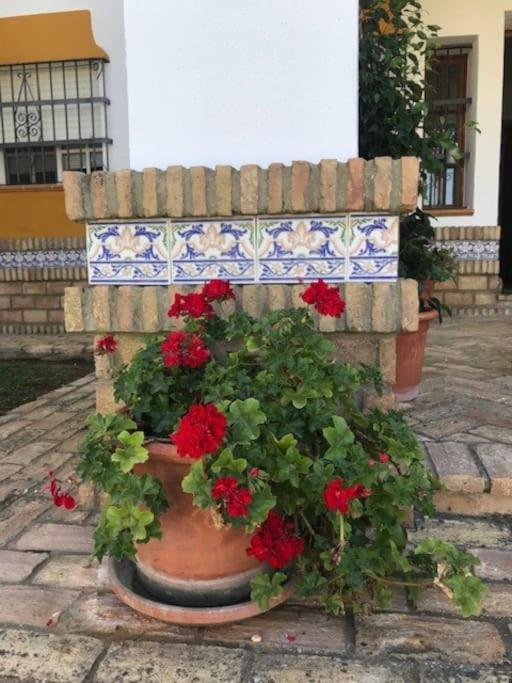 הוילה צ'יקלנה דה לה פרונטרה El Magnolio מראה חיצוני תמונה